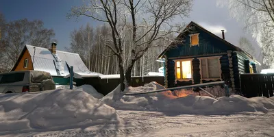 Наедине с природой: уютный дом в березовой роще с панорамными окнами и  деревянной отделкой