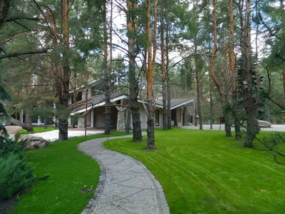 Дом в сосновом лесу