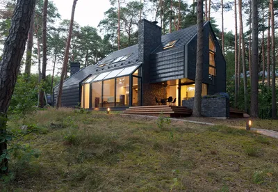 Дом в сосновом лесу - Работа из галереи 3D Моделей