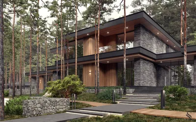 Два одноэтажных дома в сосновом лесу | Архитектурные проекты | Журнал  «Красивые дома»