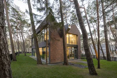 Современный дом в сосновом лесу в Зейсте, Нидерланды от бюро HofmanDujardin