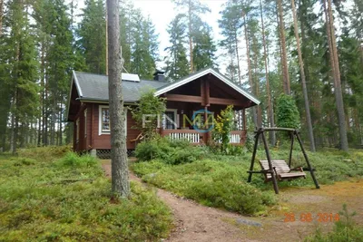 Деревянный дом в сосновом лесу - 56 фото