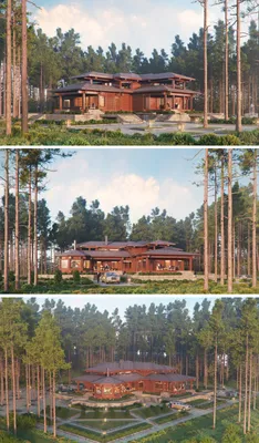 Дом в сосновом лесу / AT Architects - Arch3Design