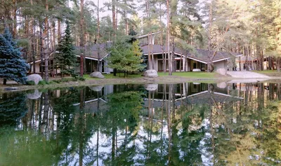 Частный дом в сосновом лесу — Mel