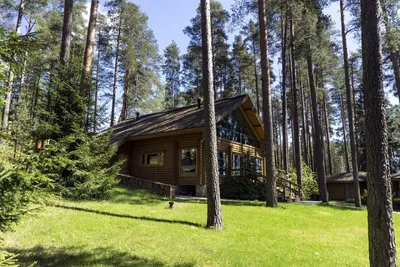 Дом в сосновом лесу