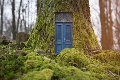 Можно ли построить дом в лесу? - Статья - Журнал - FORUMHOUSE