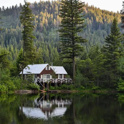 Красивый дом у озера в лесу - 80 фото