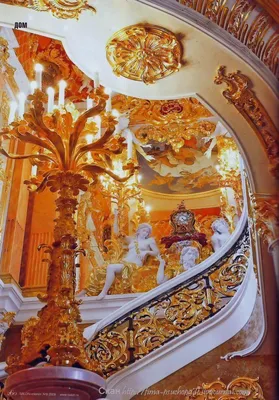 Вырица дом васильева - 56 фото