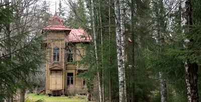 Дом сергея васильева в вырице. Роскошные дома самых богатых людей россии.  История становления …
