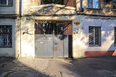 Квартиру Михаила Жванецкого в Одессе превратят в музей (документ) | Новости  Одессы