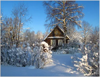Дом зимой в лесу рисунок - 72 фото