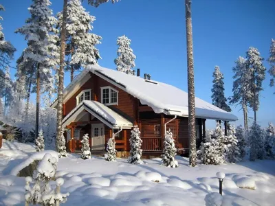 Дом в лесу зимой (86 фото) - 86 фото