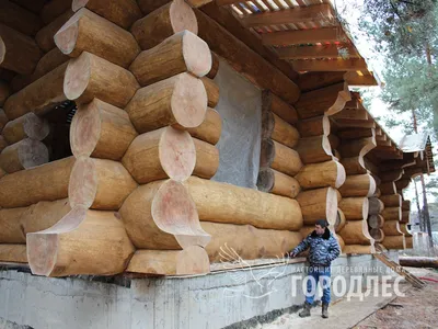 Фотоподборка домов из рубленого бревна большого диаметра | Строительство  домов во Владимире и Владимирской области под ключ