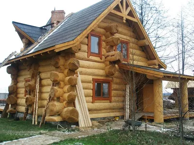 срубы в диком стиле - Строительство домов и бань из бревна