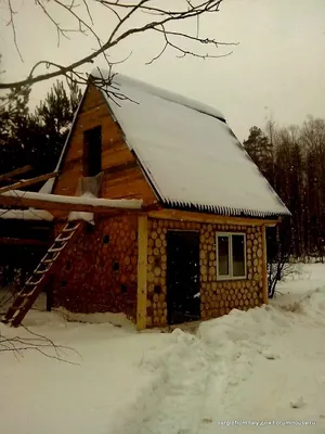 Экодом из дров и глины: чудачество или здравый смысл?