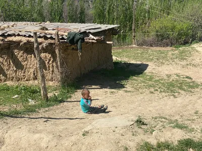 Дома из глины и соломы: посмотрела, как строят дома в узбекских кишлаках и  как они устроены внутри | Kuzminatravel | Дзен