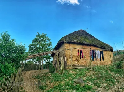Каркасный дом. Солома, глина, опилки. | Пикабу