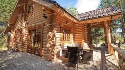 Дома из оцилиндрованного бревна «Бруса» от производителя в Москве