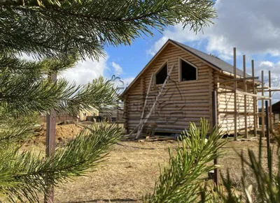 Рубленые дома под ключ от компании «Вятский Лес» | Купить дом из рубленого  бревна по выгодной цене