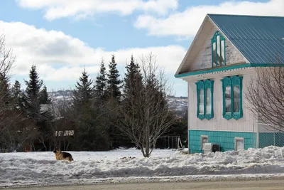 Дома на крыше дома – очень странный деревянный небоскрёб на Аляске |  Tour2Go | Дзен