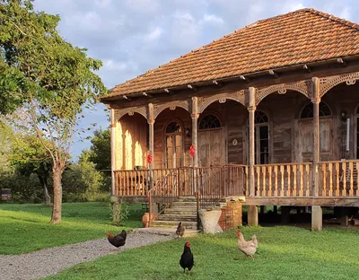 Сельский туризм в Грузии - Сельский дом, погостить в семейном доме