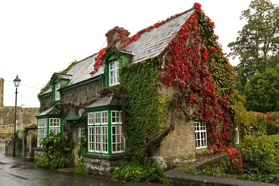 Пазл «Дом в Ирландии» из 294 элементов | Собрать онлайн пазл №179920
