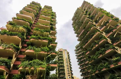Вертикальный лес в Китае – почему этот дом словно из постапокалипсиса |  Азия без фотошопа | Дзен