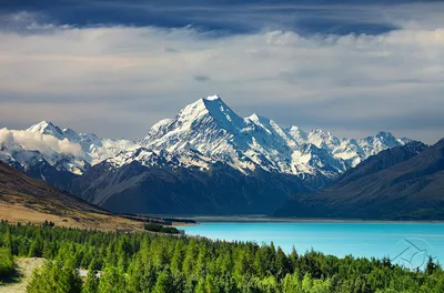 Новая Зеландия подходит созерцателям». Личный опыт жизни и поиска жилья в Новой  Зеландии