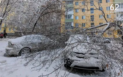 В селе Константиново Рязанской области открылся обновлённый дом культуры |  Рязанские ведомости