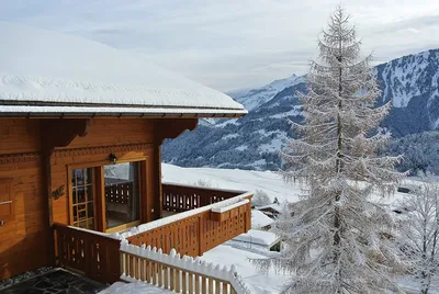 Швейцария частные дома (46 фото) - фото - картинки и рисунки: скачать  бесплатно