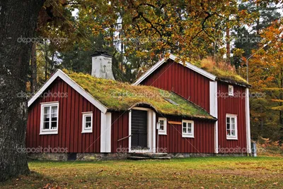 Дома по шведской технологии, проекты домов