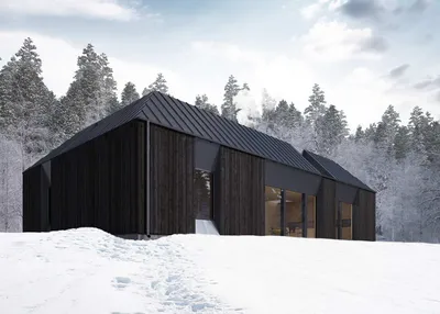 Лесной дом в Швеции 2