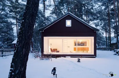Сканди Дача 6х8 - каркасный дачный дом в скандинавском стиле, описание и  цены зимнего проекта