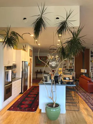 Растения в доме: фото, которые вдохновят вас на новые идеи декора