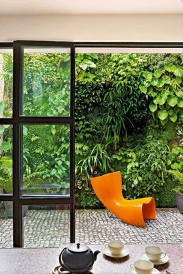 Домашние Зеленые Стены И Вертикальное Озеленение фотографии