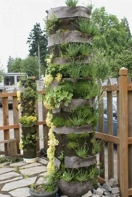 Фото вертикального озеленения, которое преобразит ваш дом