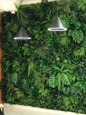Как сделать зеленую стену в стиле минимализма