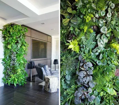 Фотография домашней зеленой стены, которая станет главным украшением вашего дома