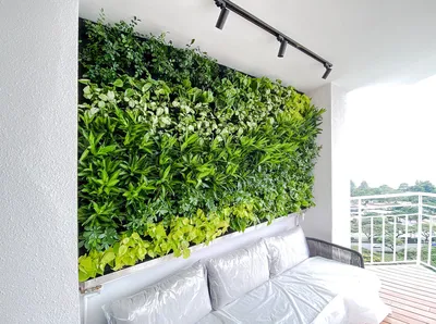 Изображение зеленой стены, которая станет идеальным решением для маленьких помещений