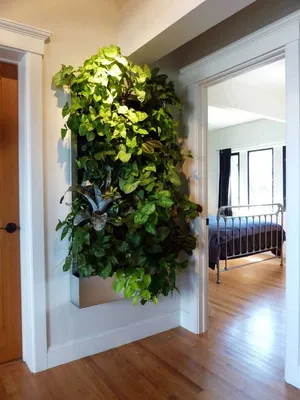 Идеи для создания зеленой стены в гостиной или столовой