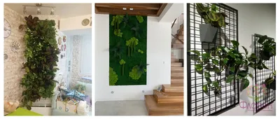 Фото домашней зеленой стены, которая поразит вашу воображение