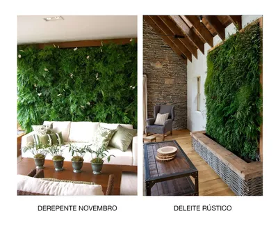 Картинка домашней зеленой стены, которая станет прекрасным подарком для любого дома и сада.