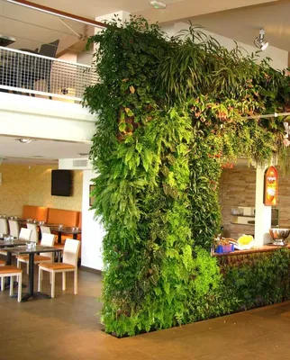 Идеальное сочетание стиля и природы: домашние зеленые стены