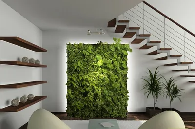 Изображение: вертикальное озеленение в доме – новый тренд в декорировании