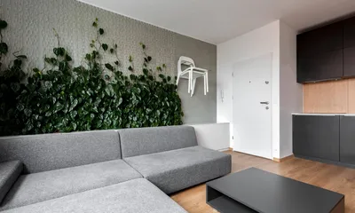 Изображение: как создать домашние зеленые стены без особых усилий
