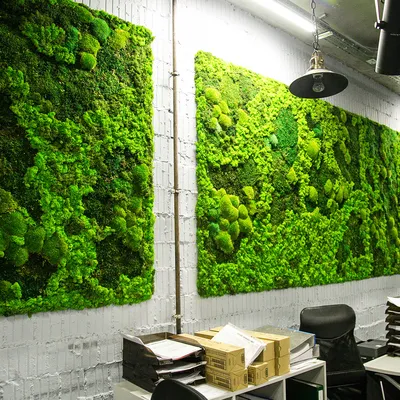 Картинка: домашнее вертикальное озеленение – прекрасный способ создать оазис в городской суете