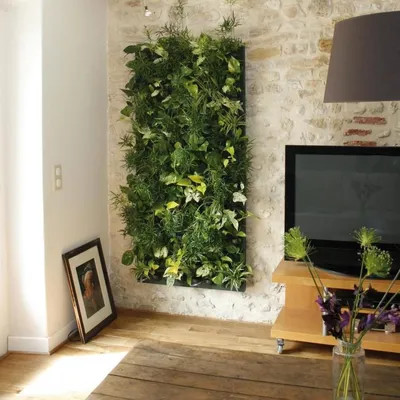 Изображение: вертикальное озеленение в доме – не только красиво, но и полезно