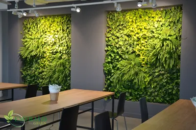 Фото: создание домашних зеленых стен – простой способ сделать интерьер более экологичным