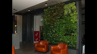 Картинка: домашние зеленые стены – идеальное решение для маленьких квартир