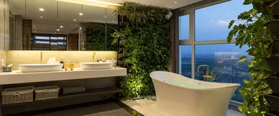 Изображение: домашние зеленые стены – стильный способ добавить природу в дом